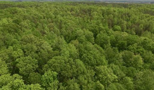 Photo of SOLD!  25 Acres of Hunting and Residential Land For Sale in Lunenburg County VA!