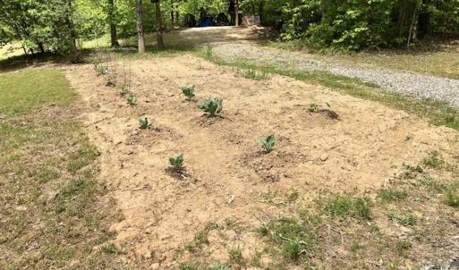 Photo of SOLD!  25 Acres of Hunting and Residential Land For Sale in Lunenburg County VA!