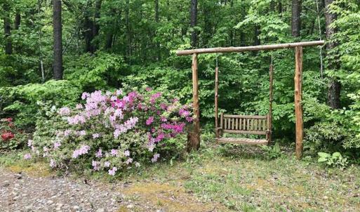 Photo of SOLD!  25 Acres of Hunting and Residential Land For Sale in Lunenburg County VA!