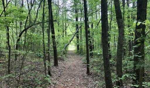 Photo of SOLD!  25 Acres of Hunting and Residential Land For Sale in Lunenburg County VA!