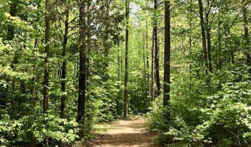 Photo of SOLD!  25 Acres of Hunting and Residential Land For Sale in Lunenburg County VA!