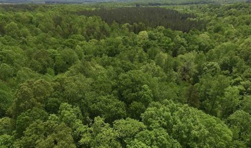 Photo of SOLD!  25 Acres of Hunting and Residential Land For Sale in Lunenburg County VA!
