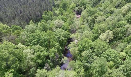 Photo of SOLD!  25 Acres of Hunting and Residential Land For Sale in Lunenburg County VA!