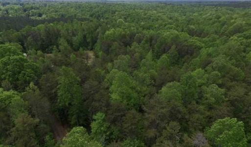 Photo of SOLD!  25 Acres of Hunting and Residential Land For Sale in Lunenburg County VA!