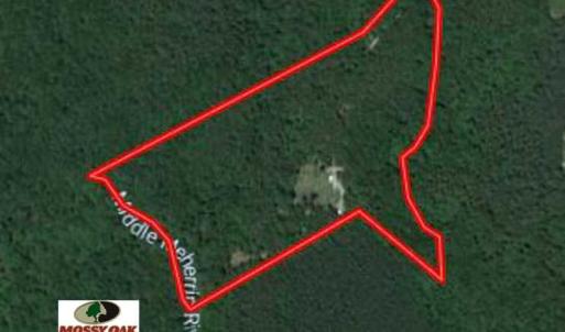 Photo of SOLD!  25 Acres of Hunting and Residential Land For Sale in Lunenburg County VA!