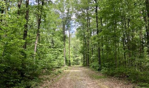 Photo of SOLD!  25 Acres of Hunting and Residential Land For Sale in Lunenburg County VA!