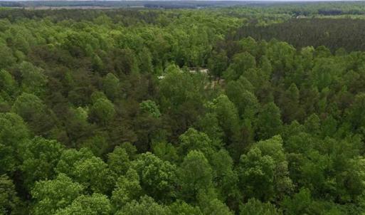 Photo of SOLD!  25 Acres of Hunting and Residential Land For Sale in Lunenburg County VA!