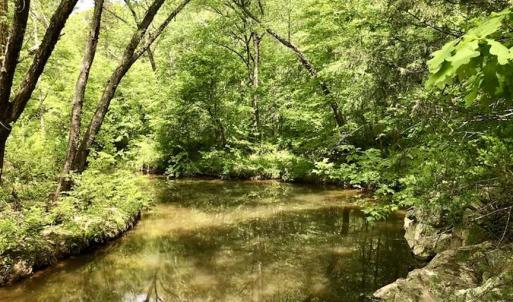 Photo of SOLD!  25 Acres of Hunting and Residential Land For Sale in Lunenburg County VA!