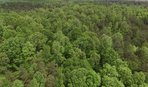 Photo of SOLD!  25 Acres of Hunting and Residential Land For Sale in Lunenburg County VA!
