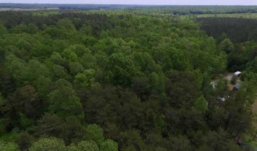 Photo of SOLD!  25 Acres of Hunting and Residential Land For Sale in Lunenburg County VA!