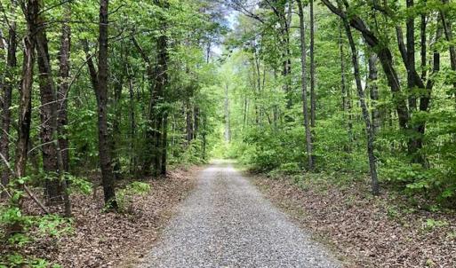 Photo of SOLD!  25 Acres of Hunting and Residential Land For Sale in Lunenburg County VA!
