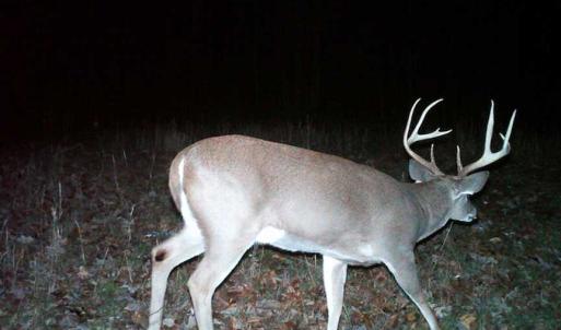 Photo of SOLD!  25 Acres of Hunting and Residential Land For Sale in Lunenburg County VA!
