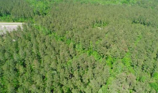 Photo of SOLD!!  20.4 Acres of Hunting and Timber Land For Sale in Jones County NC!