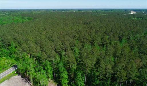 Photo of SOLD!!  20.4 Acres of Hunting and Timber Land For Sale in Jones County NC!