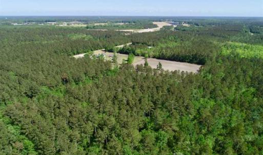 Photo of SOLD!!  20.4 Acres of Hunting and Timber Land For Sale in Jones County NC!