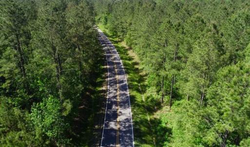Photo of SOLD!!  20.4 Acres of Hunting and Timber Land For Sale in Jones County NC!
