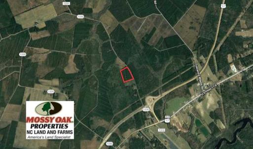 Photo of SOLD!!  20.4 Acres of Hunting and Timber Land For Sale in Jones County NC!