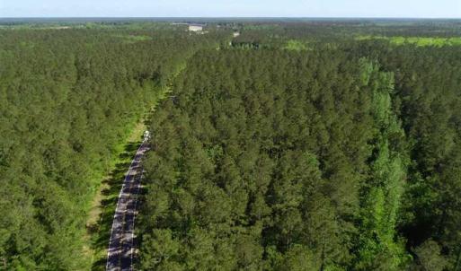 Photo of SOLD!!  20.4 Acres of Hunting and Timber Land For Sale in Jones County NC!