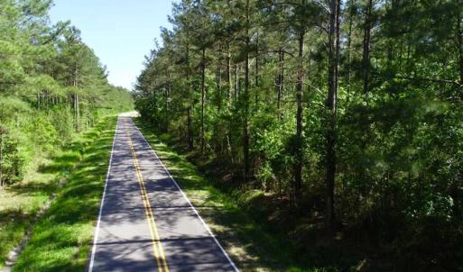 Photo of SOLD!!  20.4 Acres of Hunting and Timber Land For Sale in Jones County NC!