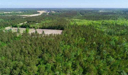 Photo of SOLD!!  20.4 Acres of Hunting and Timber Land For Sale in Jones County NC!