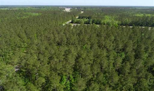 Photo of SOLD!!  20.4 Acres of Hunting and Timber Land For Sale in Jones County NC!
