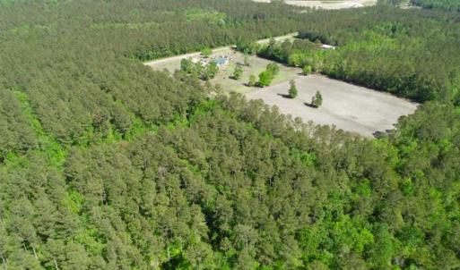 Photo of SOLD!!  20.4 Acres of Hunting and Timber Land For Sale in Jones County NC!