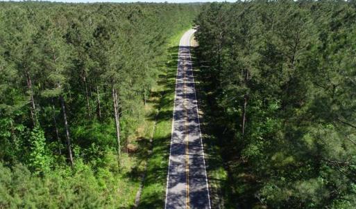 Photo of SOLD!!  20.4 Acres of Hunting and Timber Land For Sale in Jones County NC!