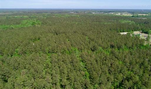 Photo of SOLD!!  20.4 Acres of Hunting and Timber Land For Sale in Jones County NC!