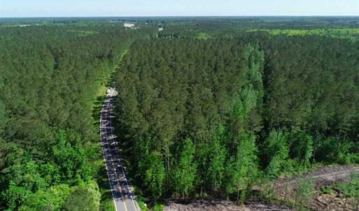 Photo of SOLD!!  20.4 Acres of Hunting and Timber Land For Sale in Jones County NC!