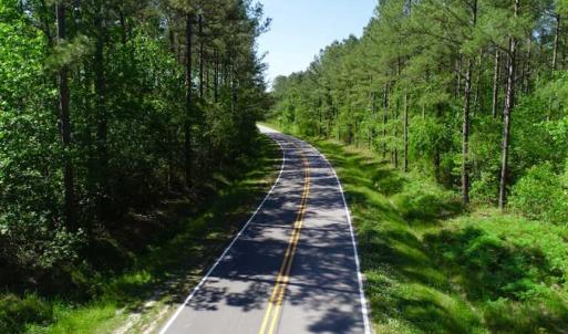 Photo of SOLD!!  20.4 Acres of Hunting and Timber Land For Sale in Jones County NC!
