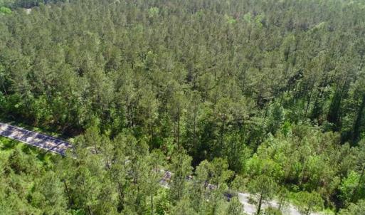 Photo of SOLD!!  20.4 Acres of Hunting and Timber Land For Sale in Jones County NC!