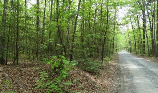 Photo of UNDER CONTRACT!  2 Acre Residential Lot For Sale in Spotsylvania County VA!