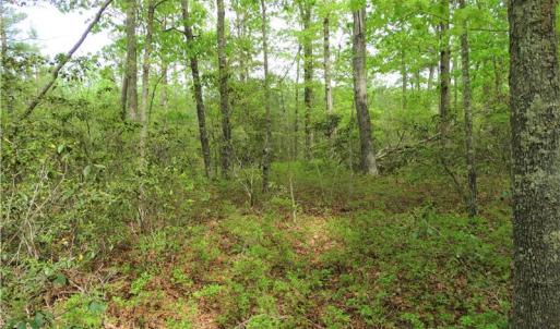 Photo of UNDER CONTRACT!  2 Acre Residential Lot For Sale in Spotsylvania County VA!