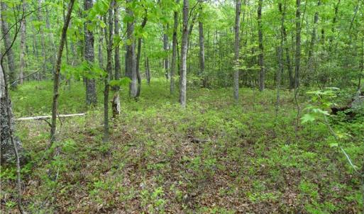 Photo of UNDER CONTRACT!  2 Acre Residential Lot For Sale in Spotsylvania County VA!