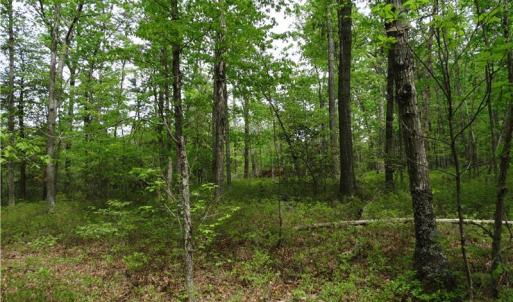 Photo of UNDER CONTRACT!  2 Acre Residential Lot For Sale in Spotsylvania County VA!
