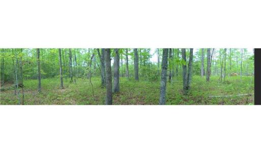 Photo of UNDER CONTRACT!  2 Acre Residential Lot For Sale in Spotsylvania County VA!