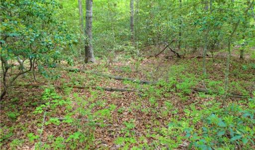 Photo of UNDER CONTRACT!  2 Acre Residential Lot For Sale in Spotsylvania County VA!