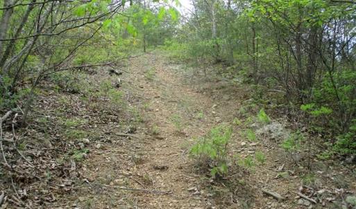 Photo of SOLD!!  42 Acres of Residential and Recreational Land for Sale in Alleghany County VA!