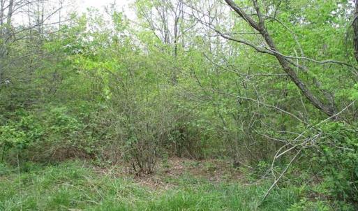Photo of SOLD!!  42 Acres of Residential and Recreational Land for Sale in Alleghany County VA!