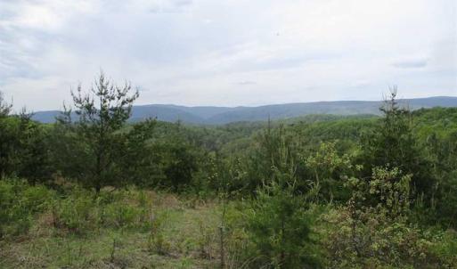 Photo of SOLD!!  42 Acres of Residential and Recreational Land for Sale in Alleghany County VA!