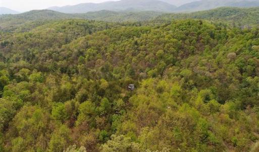 Photo of SOLD!!  42 Acres of Residential and Recreational Land for Sale in Alleghany County VA!