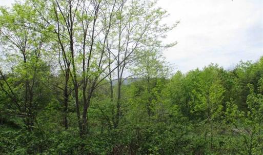 Photo of SOLD!!  42 Acres of Residential and Recreational Land for Sale in Alleghany County VA!