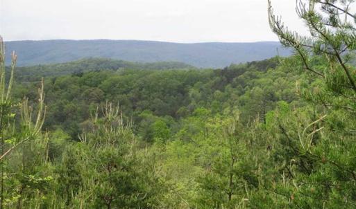 Photo of SOLD!!  42 Acres of Residential and Recreational Land for Sale in Alleghany County VA!