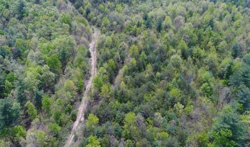 Photo of SOLD!!  42 Acres of Residential and Recreational Land for Sale in Alleghany County VA!