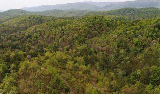Photo of SOLD!!  42 Acres of Residential and Recreational Land for Sale in Alleghany County VA!