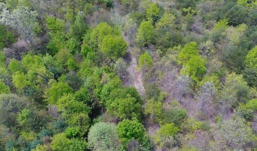 Photo of SOLD!!  42 Acres of Residential and Recreational Land for Sale in Alleghany County VA!