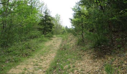 Photo of SOLD!!  42 Acres of Residential and Recreational Land for Sale in Alleghany County VA!