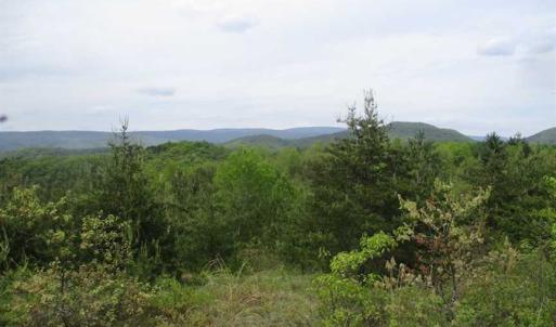 Photo of SOLD!!  42 Acres of Residential and Recreational Land for Sale in Alleghany County VA!