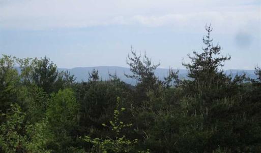 Photo of SOLD!!  42 Acres of Residential and Recreational Land for Sale in Alleghany County VA!