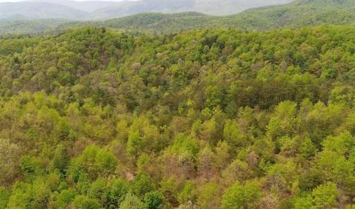 Photo of SOLD!!  42 Acres of Residential and Recreational Land for Sale in Alleghany County VA!